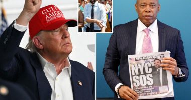 Trump praises Mayor Adams' re-election bid â and threatens Zohran Mamdani with arrest if he interferes with ICE